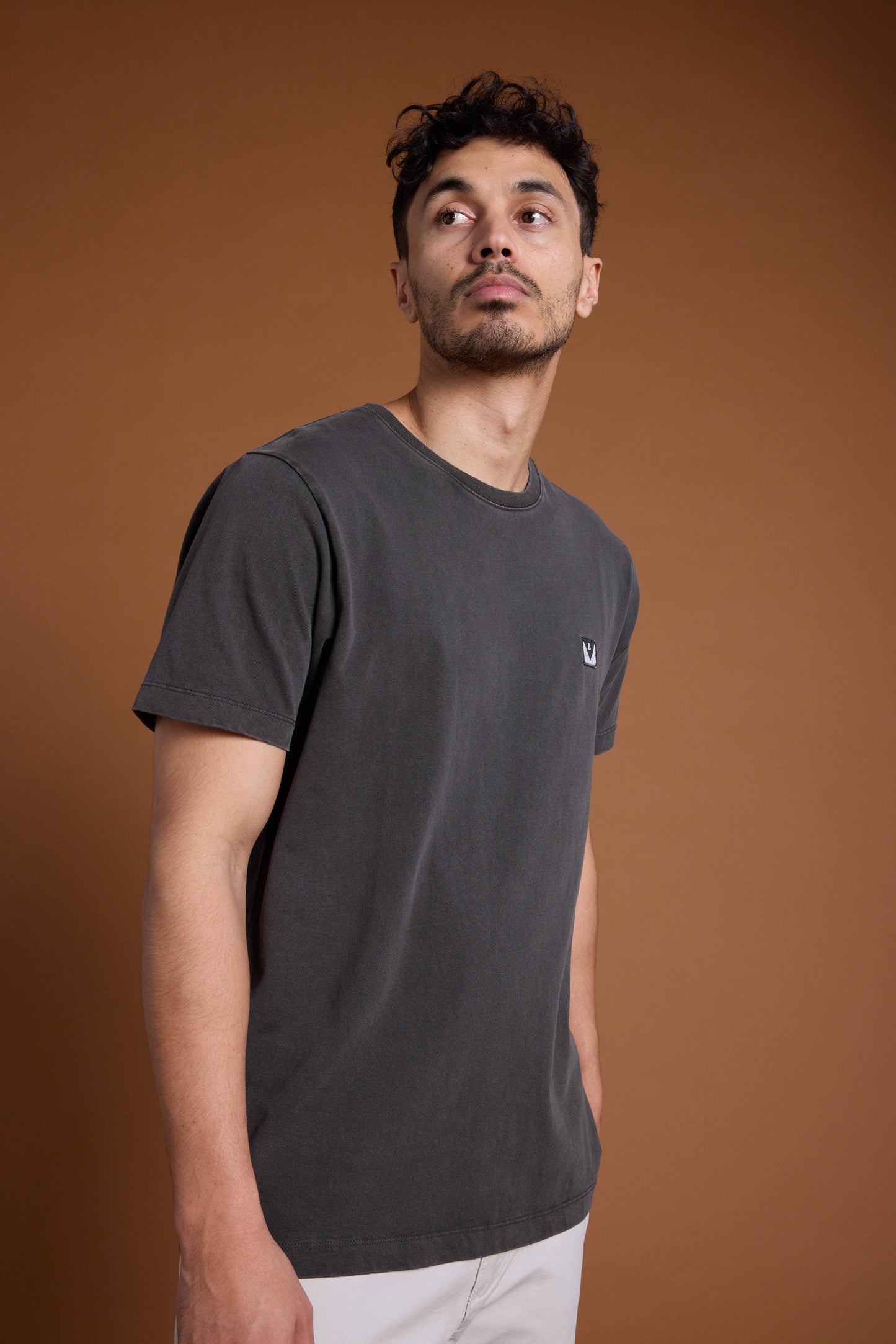 Newton Washed Tee